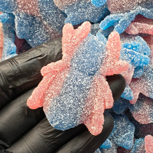 Huge Spiders Sour — Giant Sour Gummy Spiders | Swedish Candy
