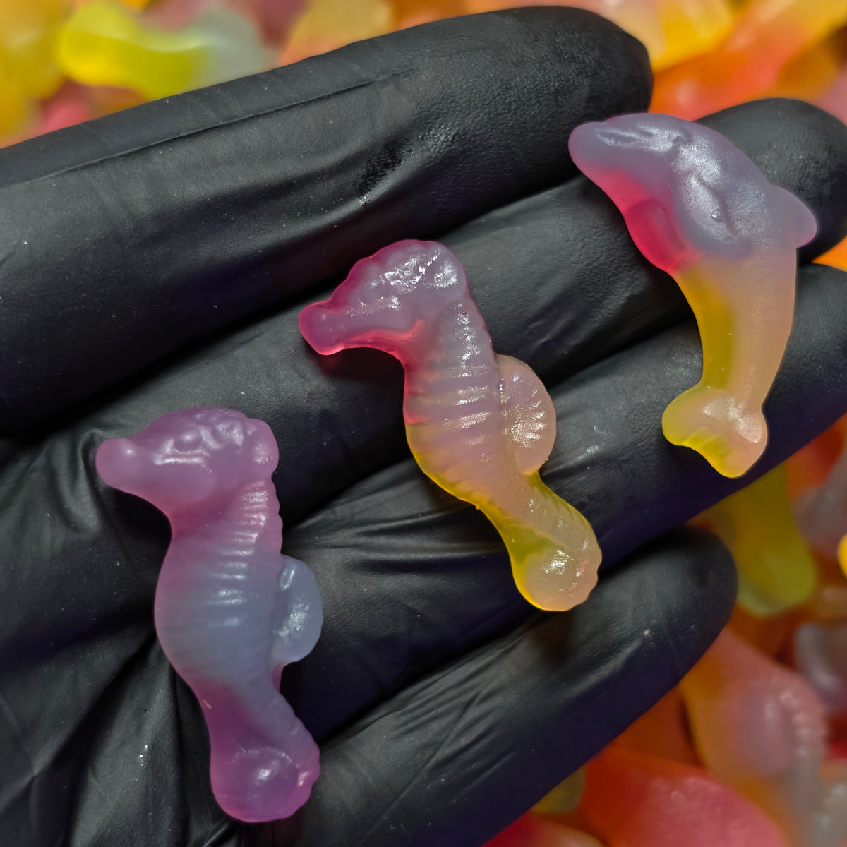 Malaco Rainbow Sea — Sea Creature Jelly Mix | Swedish Candy